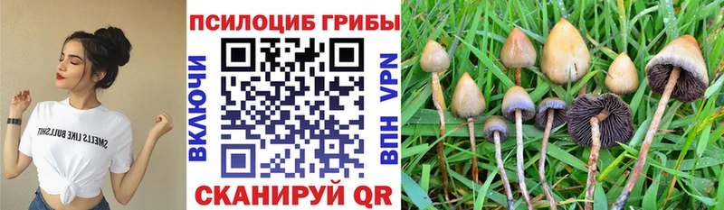 Галлюциногенные грибы прущие грибы  Купить где  Алапаевск 